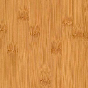 Bamboo